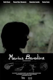 Marius Borodine (2010)