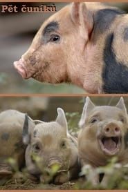 5 Little Pigs series tv