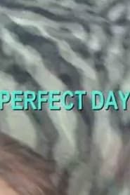 Perfect Day (2007)