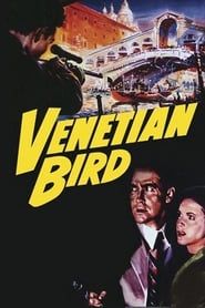 Venetian Bird-hd