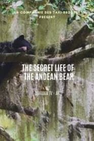 Image La vie secrète de l’ours à lunettes
