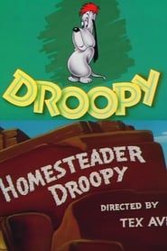 Image Droopy Pionnier
