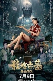 龙棺古墓：西夏狼王 (2021)