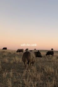 With the Cattle series tv