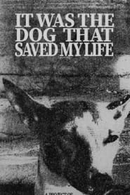 Image It Was the Dog That Saved My Life