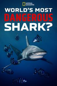 Image World's Most Dangerous Shark? 2021