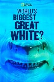 World's Biggest Great White? series tv