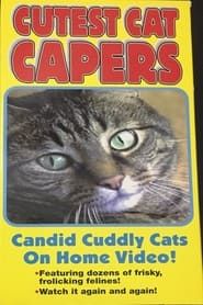 Cutest Cat Capers series tv