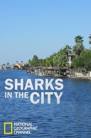 Sharks in the City: Bull Sharks in the Backyard series tv