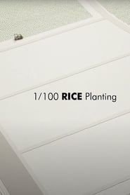 1/100 RICE Planting series tv