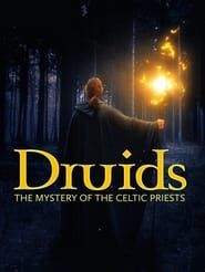 Image Les druides - Prêtres des peuples celtes 2021