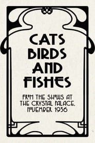 Cats, Birds and Fishes 1936 streaming