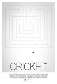 Image Cricket