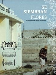 Se Siembran Flores series tv