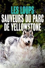 Yellowstone: The Mystery of the Wolves series tv