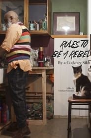 Rules to be a Rebel, By a Cockney Sikh series tv