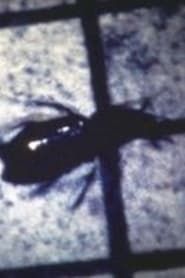 INSECT (1983)