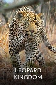 Leopard Kingdom series tv
