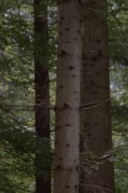 The Forest series tv