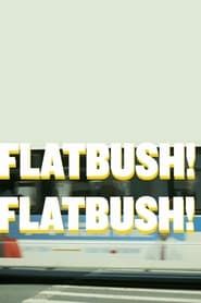Flatbush! Flatbush! series tv