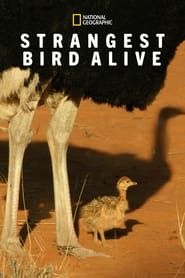 Strangest Bird Alive series tv
