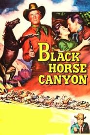 Black Horse Canyon series tv