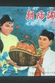 朝阳沟 (1963)