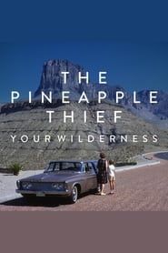 The Pineapple Thief: Your Wilderness series tv
