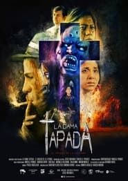 La Dama Tapada series tv