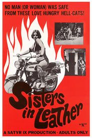 Sisters in Leather 1969 streaming