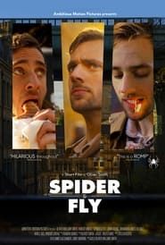 Affiche de Spider & Fly