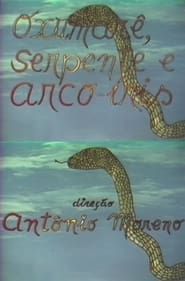 Image Oxumarê, Serpente e Arco-Íris
