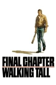 Final Chapter---Walking Tall series tv
