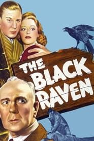 Affiche de The Black Raven