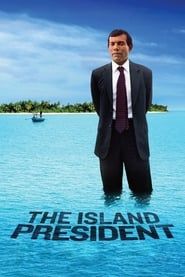 Les Maldives : le combat d'un président (2012)