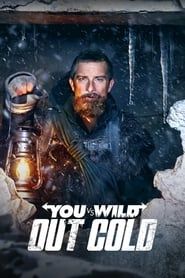 You vs. Wild: Out Cold series tv