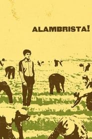 Image Alambrista! 1977