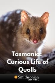Image Tasmania: Curious Life of Quolls