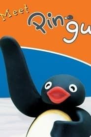 Meet Pingu 2003 streaming