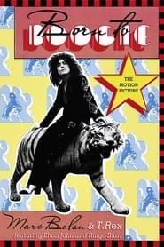 Image Marc Bolan & T. Rex - Born to Boogie