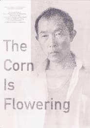 Image The Corn is Flowering