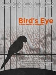 Bird's Eye (2020)
