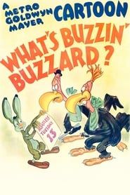 What's Buzzin' Buzzard? series tv