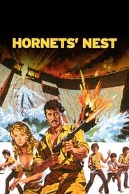 Hornets' Nest series tv