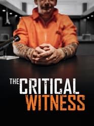 The Critical Witness series tv