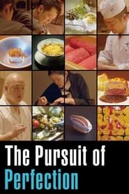 The Pursuit Of Perfection series tv