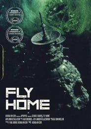 Affiche de Fly Home