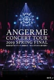 ANGERME Concert Tour 2019 Haru Final series tv