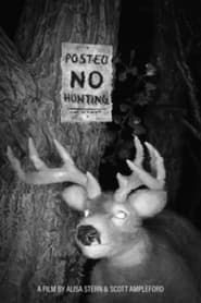 Posted No Hunting-hd