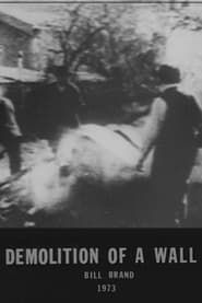 Demolition of a Wall (1973)